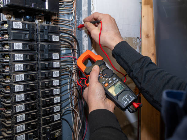 Best Ceiling Fan Installation Electrician  in Memphis, FL